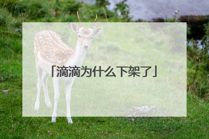 滴滴为什么下架了