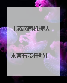 滴滴司机撞人乘客有责任吗