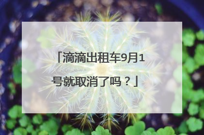 滴滴出租车9月1号就取消了吗？