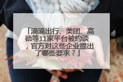 滴滴出行、美团、高德等11家平台被约谈，官方对这些企业提出了哪些要求？