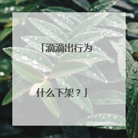 滴滴出行为什么下架？