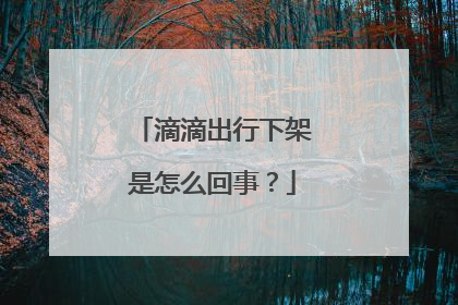 滴滴出行下架是怎么回事？