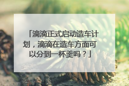 滴滴正式启动造车计划，滴滴在造车方面可以分到一杯羹吗？