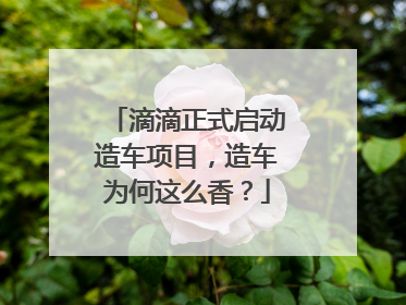 滴滴正式启动造车项目，造车为何这么香？