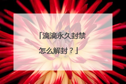 滴滴永久封禁怎么解封？