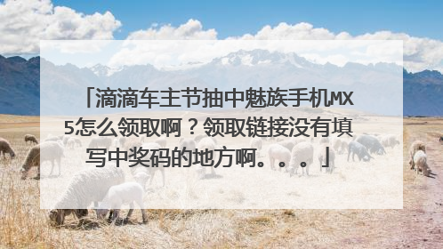 滴滴车主节抽中魅族手机MX5怎么领取啊？领取链接没有填写中奖码的地方啊。。。