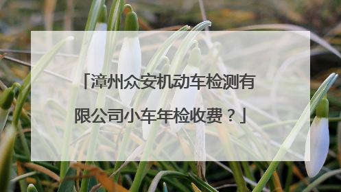 漳州众安机动车检测有限公司小车年检收费？
