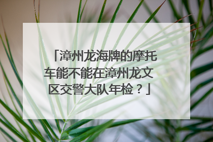 漳州龙海牌的摩托车能不能在漳州龙文区交警大队年检？