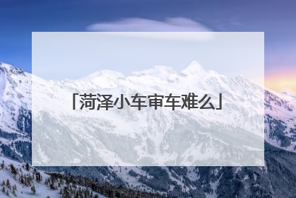 菏泽小车审车难么