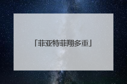 菲亚特菲翔多重