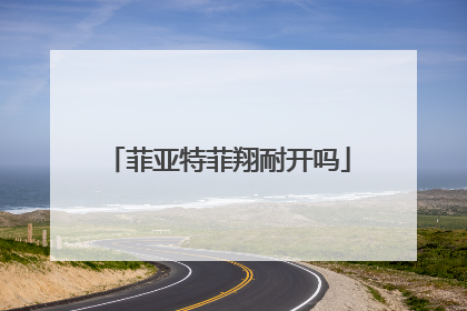 菲亚特菲翔耐开吗