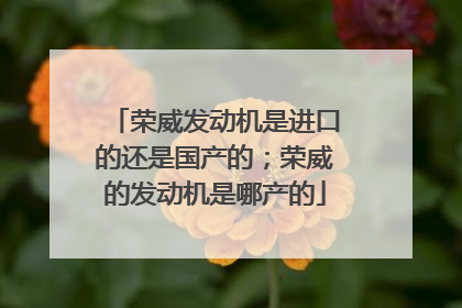 荣威发动机是进口的还是国产的；荣威的发动机是哪产的