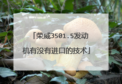 荣威3501.5发动机有没有进口的技术