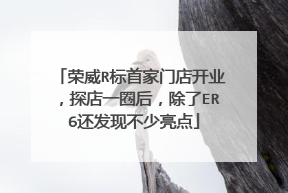 荣威R标首家门店开业，探店一圈后，除了ER6还发现不少亮点