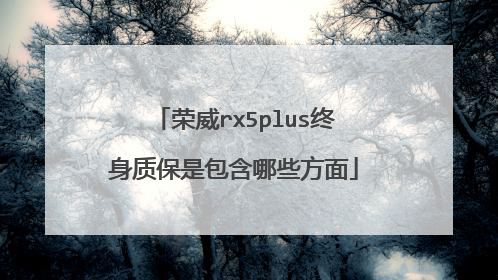 荣威rx5plus终身质保是包含哪些方面