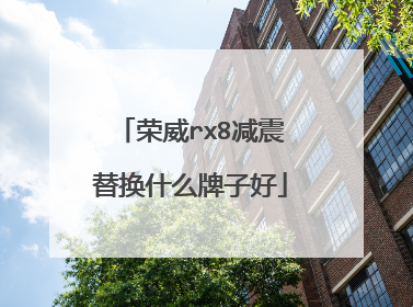 荣威rx8减震替换什么牌子好