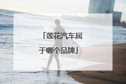 莲花汽车属于哪个品牌