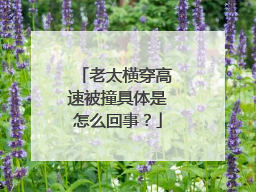 老太横穿高速被撞具体是怎么回事？