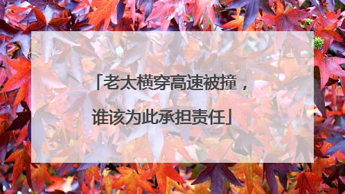 老太横穿高速被撞，谁该为此承担责任