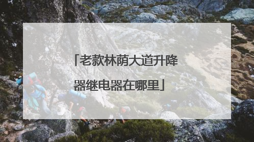 老款林荫大道升降器继电器在哪里