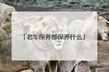 老车保养都保养什么