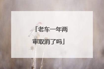 老车一年两审取消了吗