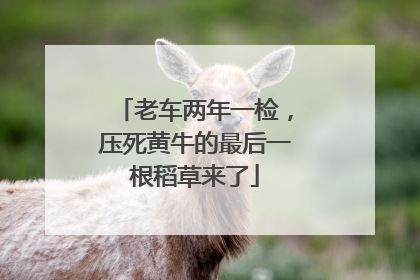 老车两年一检，压死黄牛的最后一根稻草来了