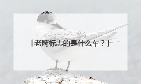 老鹰标志的是什么车？