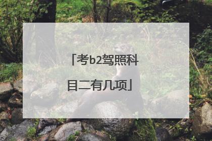 考b2驾照科目二有几项