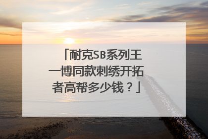 耐克SB系列王一博同款刺绣开拓者高帮多少钱？