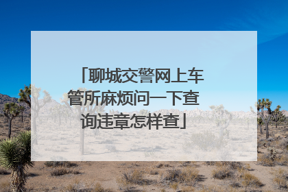 聊城交警网上车管所麻烦问一下查询违章怎样查