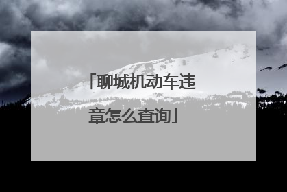 聊城机动车违章怎么查询