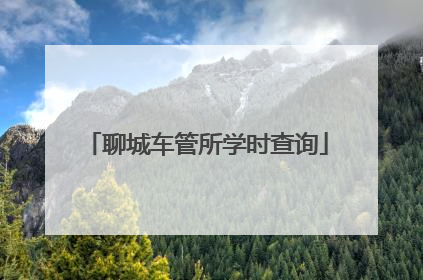 聊城车管所学时查询