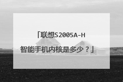 联想S2005A-H智能手机内核是多少？