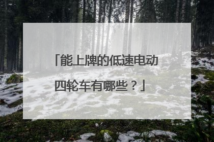 能上牌的低速电动四轮车有哪些？