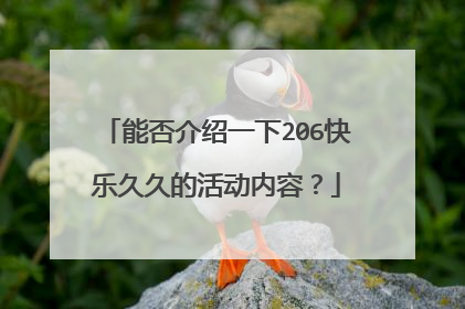 能否介绍一下206快乐久久的活动内容？