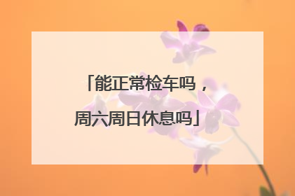 能正常检车吗，周六周日休息吗