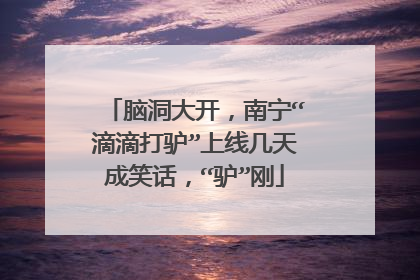 脑洞大开，南宁“滴滴打驴”上线几天成笑话，“驴”刚