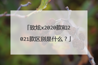 致炫x2020款和2021款区别是什么？