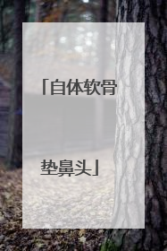 自体软骨垫鼻头