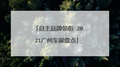自主品牌领衔 2021广州车展盘点