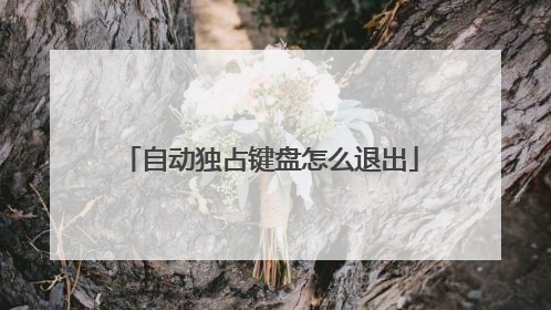自动独占键盘怎么退出