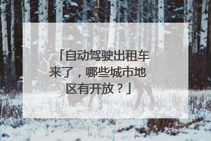 自动驾驶出租车来了，哪些城市地区有开放？