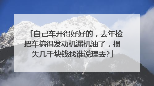 自己车开得好好的，去年检把车搞得发动机漏机油了，损失几千块钱找谁说理去?