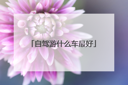 自驾游什么车最好