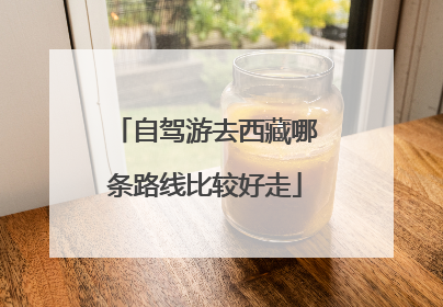 自驾游去西藏哪条路线比较好走