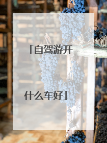 自驾游开什么车好