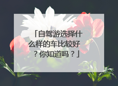 自驾游选择什么样的车比较好？你知道吗？