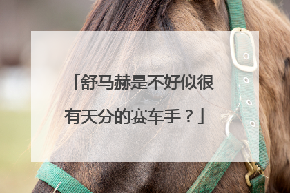 舒马赫是不好似很有天分的赛车手？