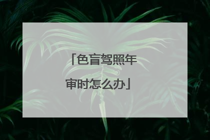 色盲驾照年审时怎么办